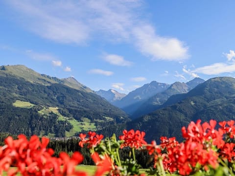 Kitz Alpen Lodge Deluxe - Klausenstein-gutshof Hollersbach Farm Stay in Salzburgerland