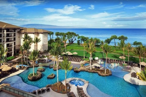 View of the lagoon-style pool.
