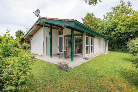 Main view