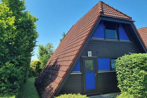 Main view