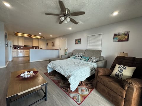 Living room, fold out bed