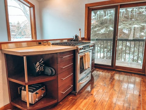 Brand new gas BBQ on the patio and view of Dollar Mountain over the stove.