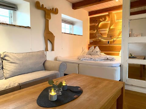 Sleeping area. Bedroom and Sleepingsofa