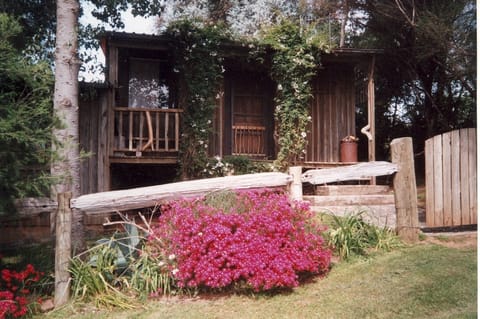 Cozy Cottage #1