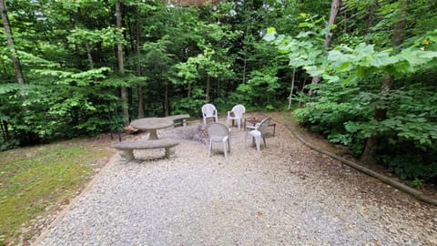 Around the wood fire pit