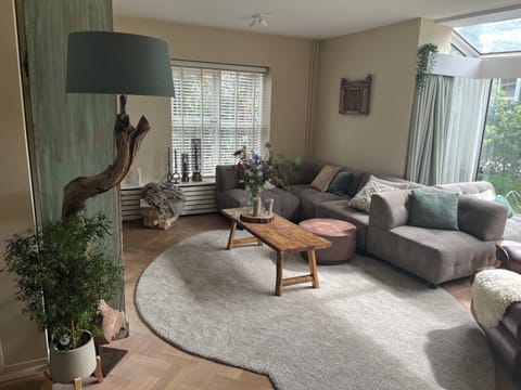 Living room with much natural light