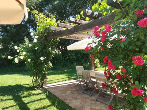 The pergola by the pool