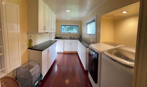 Laundry area and pantry