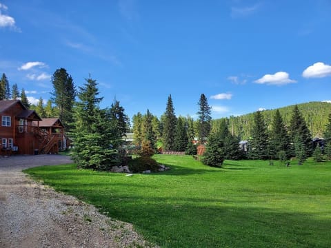 A view of the lawn with the creek to the right of photo
