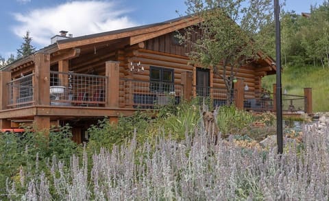 Welcome to Aspen Bear Paws! This beautifully renovated cabin home is your new home away from home!