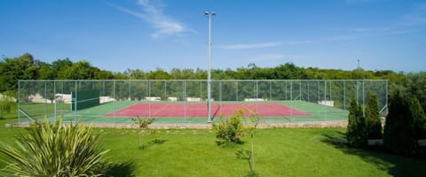 Sport court