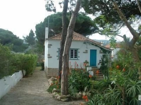 house viewed from the main road