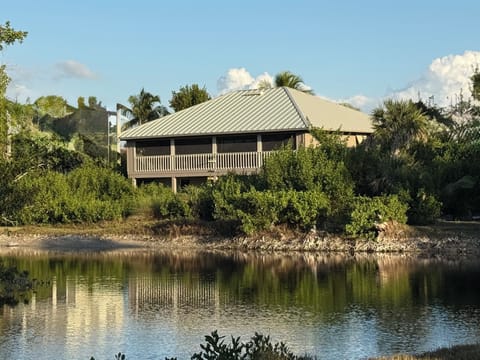 Rear of house overlooking lagoon
