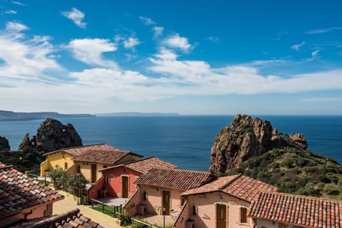 View from the window. Amazing view from the house