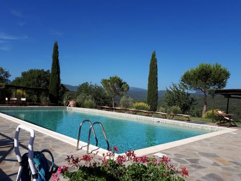 Pool. Swimmingpool and solarium