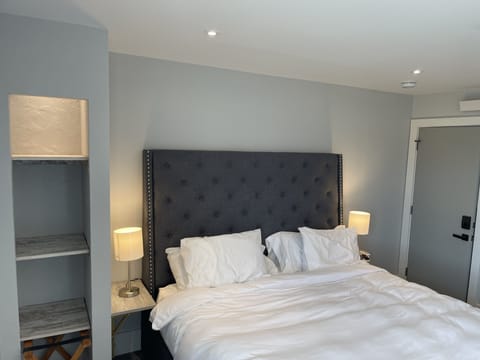 "The Egyptian Eagle" - Suite 204 with a King Bed, full private bath, A/C, Fridge