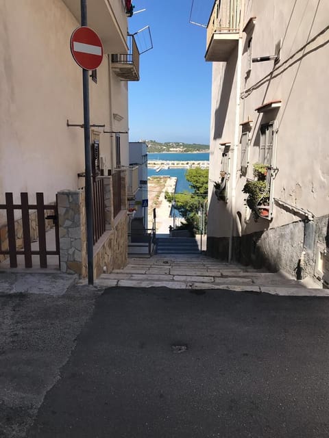 Area that directly surrounds the property