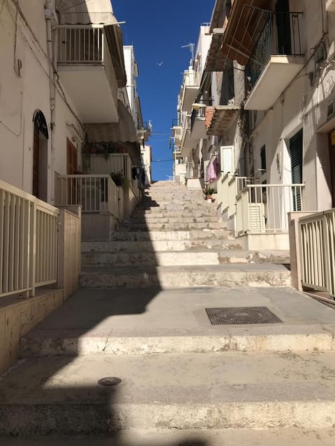 Area that directly surrounds the property