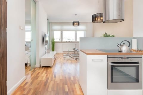 Coherent combination of kitchenette and living room.