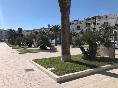 Area that directly surrounds the property