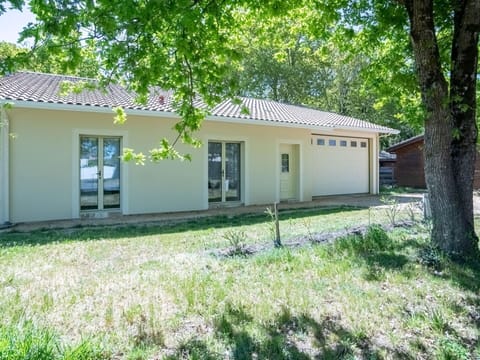 Plant, Building, Property, Window, Tree, House, Shade, Land Lot, Vegetation, Natural Landscape