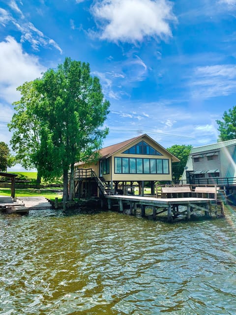 Twin Cypress on False River