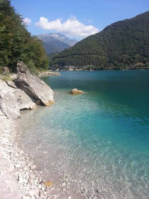 Area that directly surrounds the property