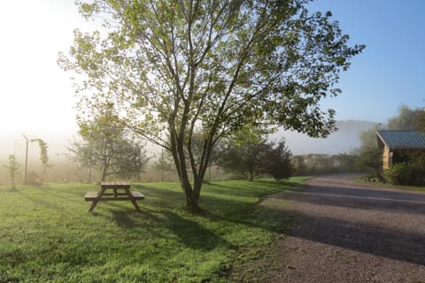 Early morning fog near the parking area.
