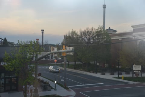 View from Window