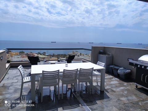 Front Terrence Table, 8 chairs ,2 dechairs, BBQ, sink with nice view