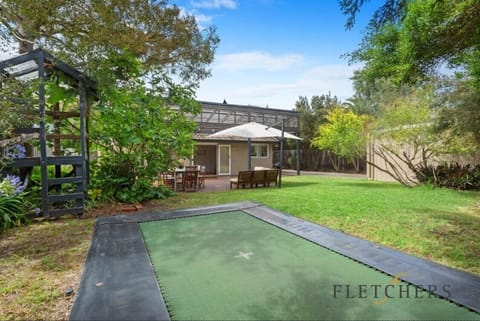 Backyard: trampoline 