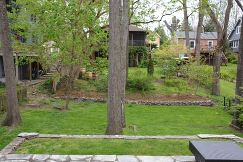 Yard with Patio