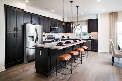 Gourmet kitchen