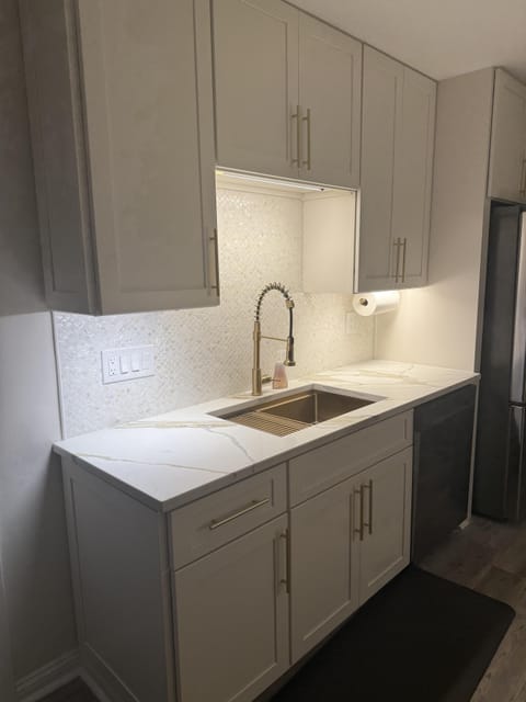 Sleek designed gourmet kitchen