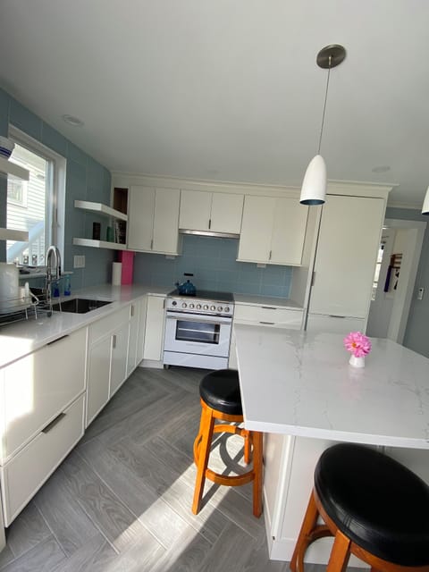 Fisher & Paykel integrated refrigerator with icemaker