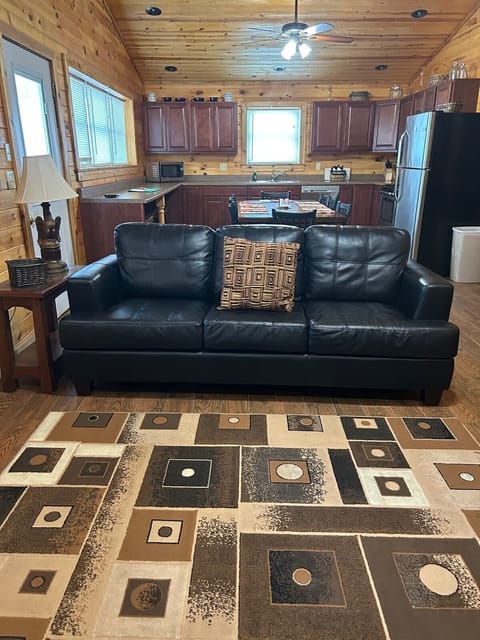 Living Area and Kitchen