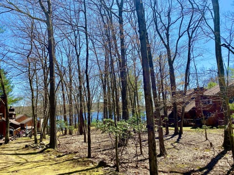 Lake view from deck. 2 minutes walk
