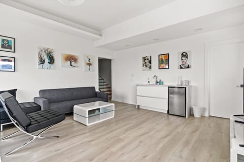 Bottom lvl. sitting/living room