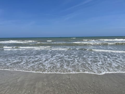 Just a few leisurely steps from the back door!  