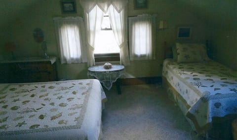 Bedroom with a twin bed and queen size bed 
