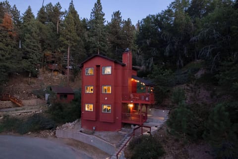 Cabin View, surrounded by towering trees and seclusion.