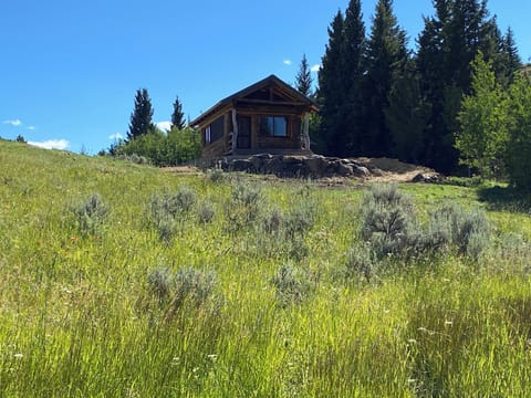 34f3f804-9fa2-4e29-801f-ca7a63208380