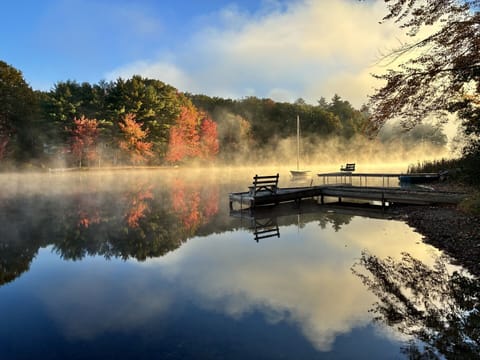 Beautiful New England foliage, as seen from our backyard