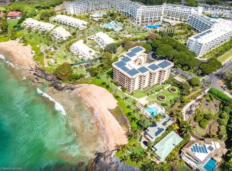 Aerial view of Polo Beach Resort