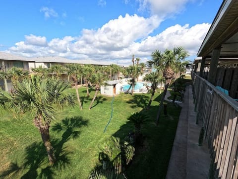 Beautiful palms in green space surrounding community pool.