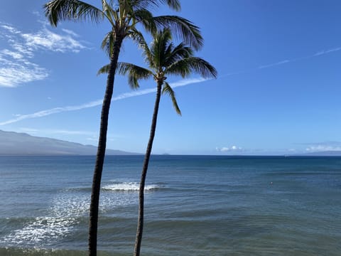 Breathtaking panoramic views of the ocean and West Maui Mountains.