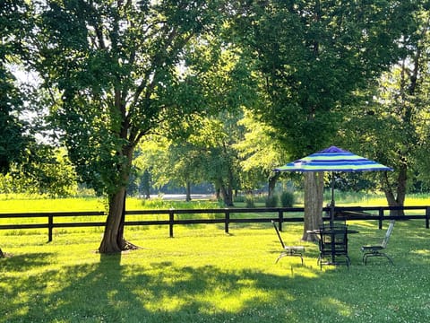 View towards the pond