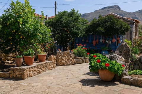 Exterior Details – Garden of the Property – Lush greenery, local plants, and bright natural tones bring life to the villa’s exterior.