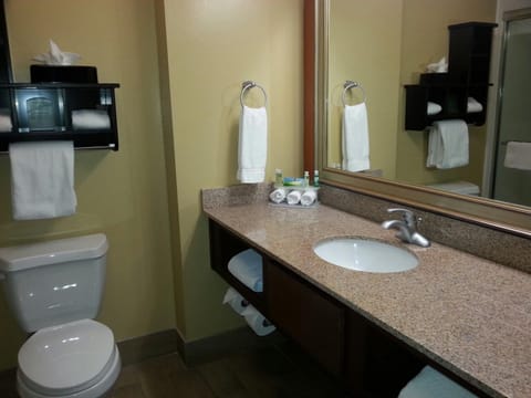 Full bathroom with a shower. Basic toiletries and towels are provided