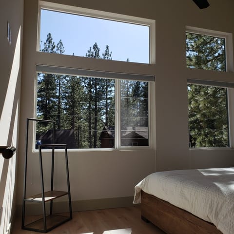 Pine views from the bedroom.
Stargaze from your bed at night